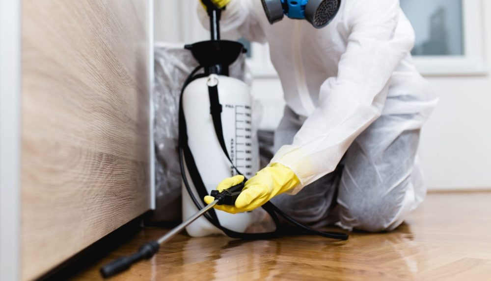 Safe Pest Control Methods for Homeowners