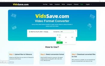 Top Video Downloader Tool - Save YouTube & TikTok in Seconds