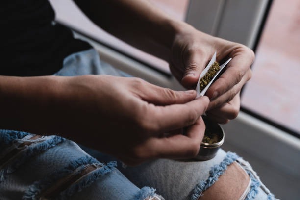 Find the Best Smoke Shop for Premium Glass Pipes and Smoking Essentials