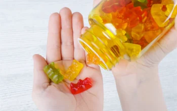 What You Should Know About Are Amanita Gummies Legal Today